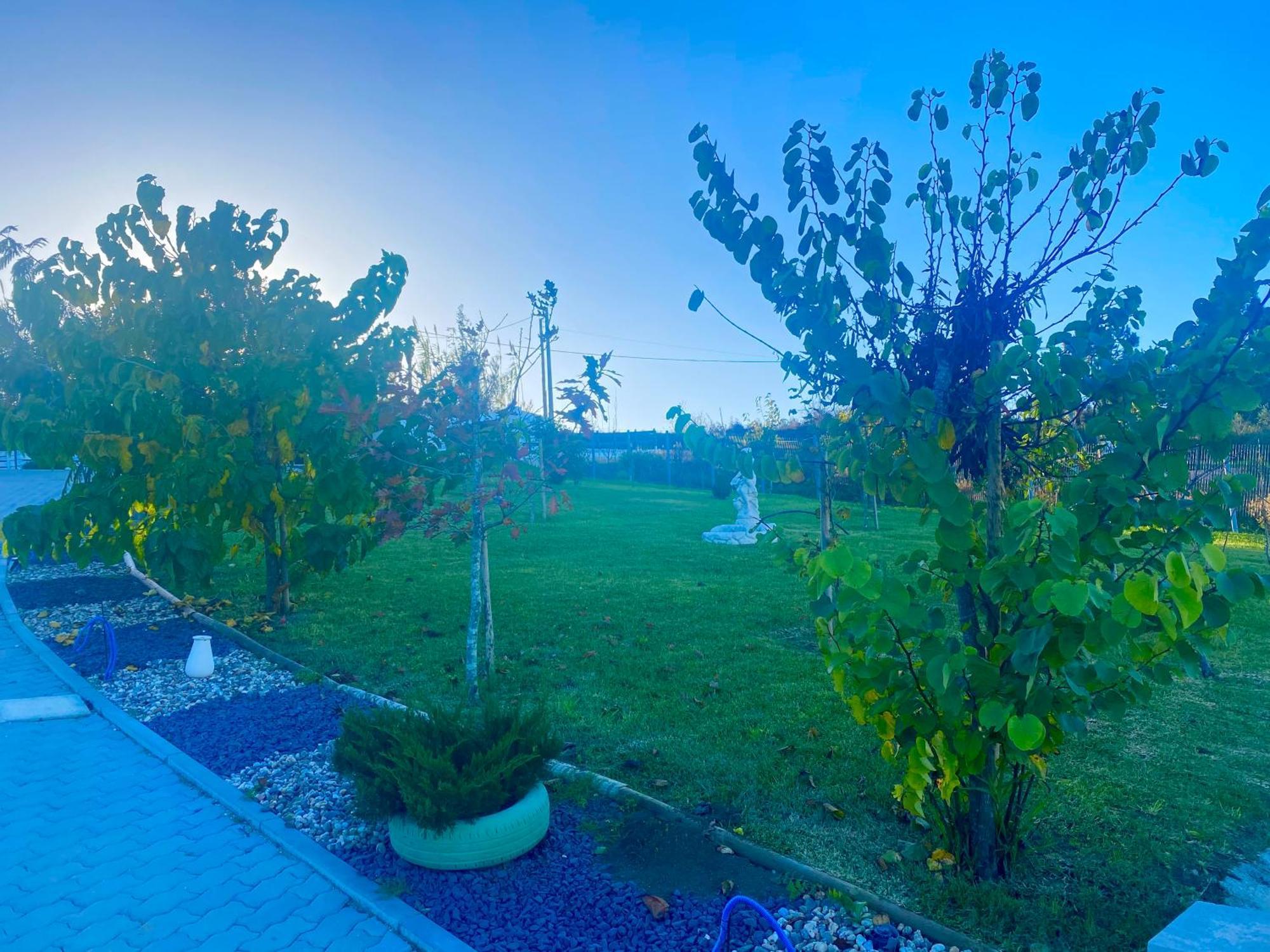 Alto Do Moinho Apartment Alcobaca Ngoại thất bức ảnh